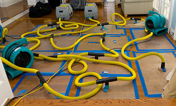 Professional Water Damage Repair technician working in Onekama, MI